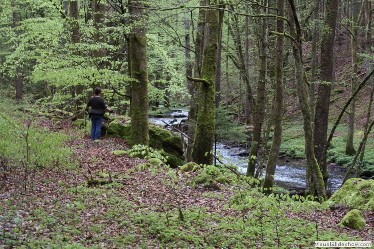 01.05.2008 - Wandern entlang der Schondra von Heiligkreuz nach Heckmühle