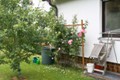 190-midi-20140617-2572-F_in unserem Garten _ unser Rosenspalier am Haus - x x